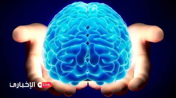 e5e012e4-8f3d-4887-8153-914ad968a11c_16x9_600x338