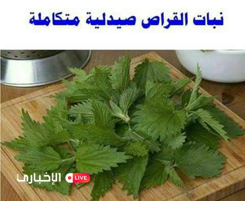 FB_IMG_1487738703805