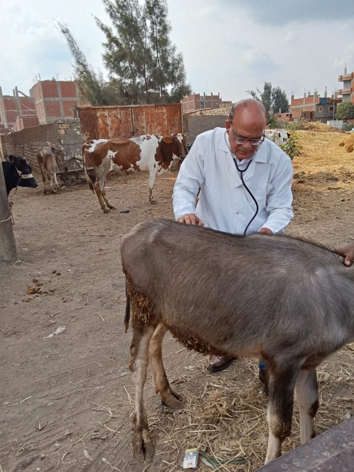 alekhbary.com-d8czVJI9