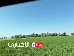 alekhbary.com KMsaL6QI