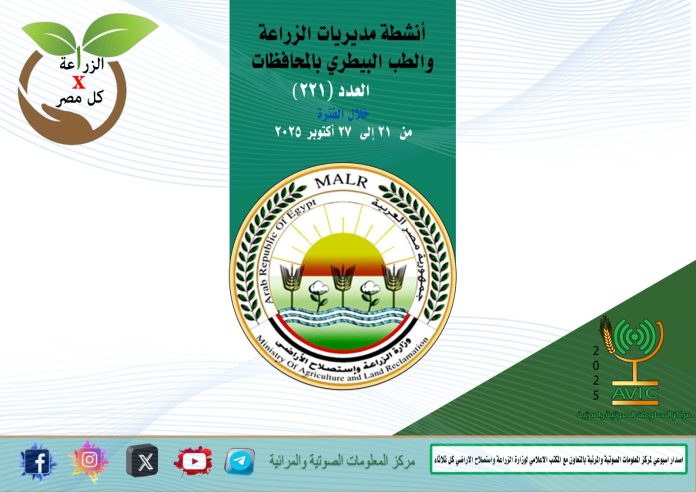 alekhbary.com-b3bZXYDZ