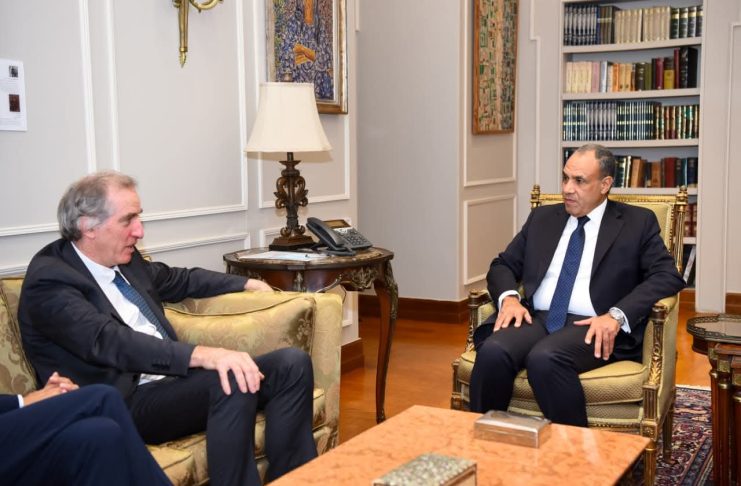 مصر تؤكد ثوابتها المبذولة لدفع مسار التسوية الشاملة