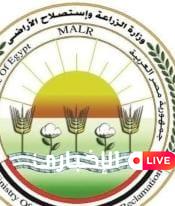 “الزراعة” تواصل جهود التحصين والتعقيم: أكثر من 2700 كلب حر منذ بداية يناير.. وحملة نوعية بالمناطق الأثرية في الأقصر