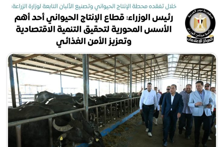 رئيس الوزراء: الإنتاج الحيواني ركيزة أساسية لتحقيق التنمية الاقتصادية وتعزيز الأمن الغذائي