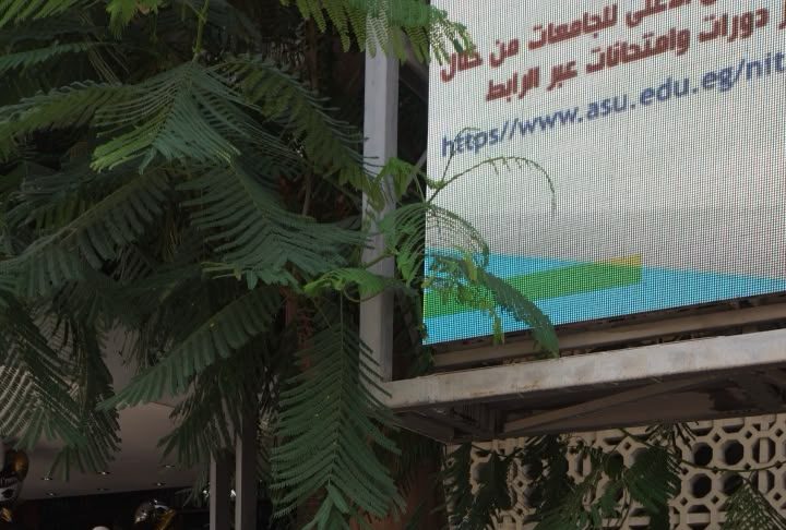 طلاب كلية الحاسبات والمعلومات بجامعة عين شمس يقدمون مشروع التخرج ويبهرون لجنة المناقشة والحاضرين