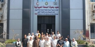 “بحوث الصحة الحيوانية” ينظم دورة تدريبية لصغار المربين من 10 محافظات لدعم الثروة الحيوانية